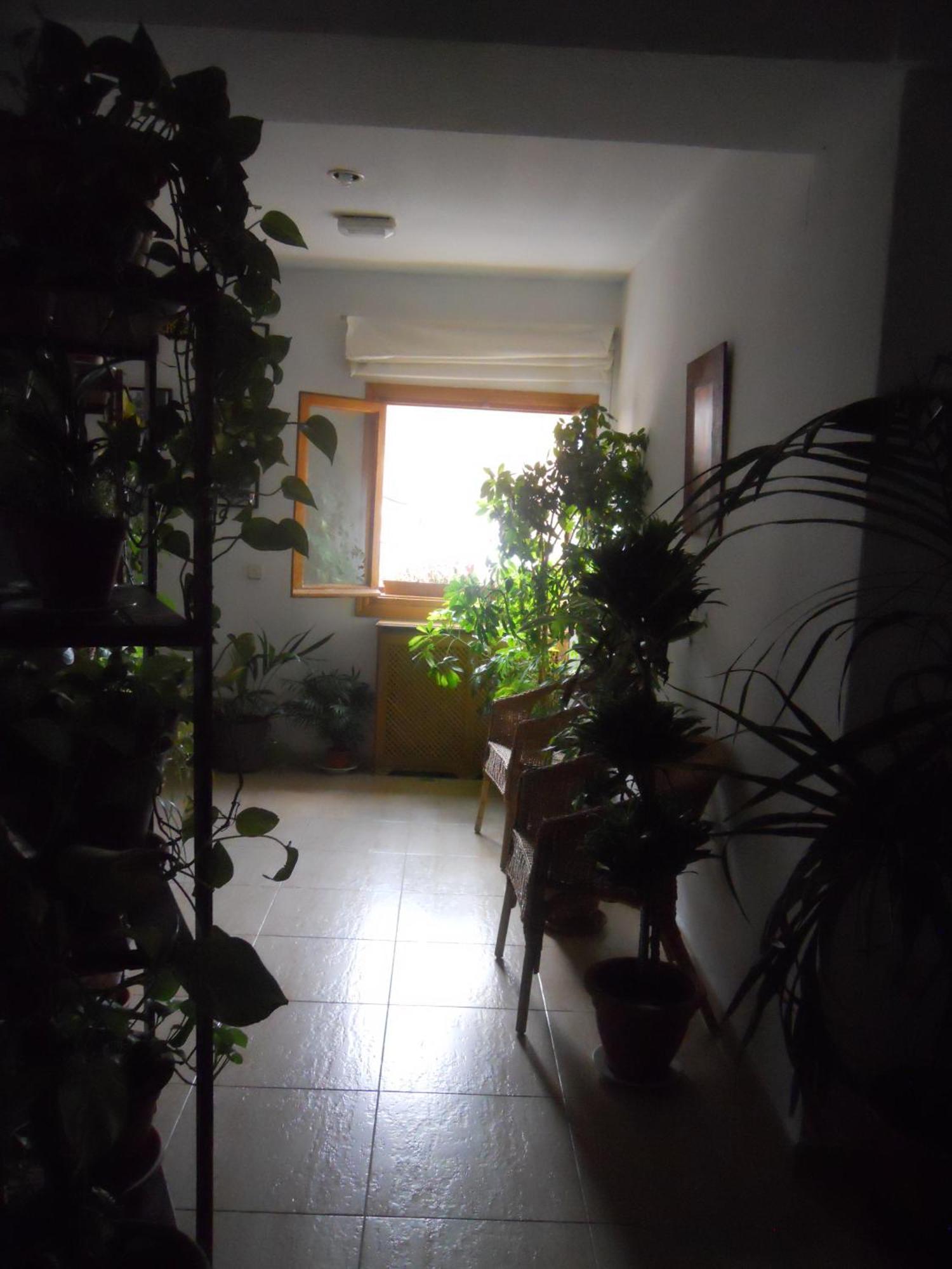 Hostal El Descanso Madrid Exterior foto