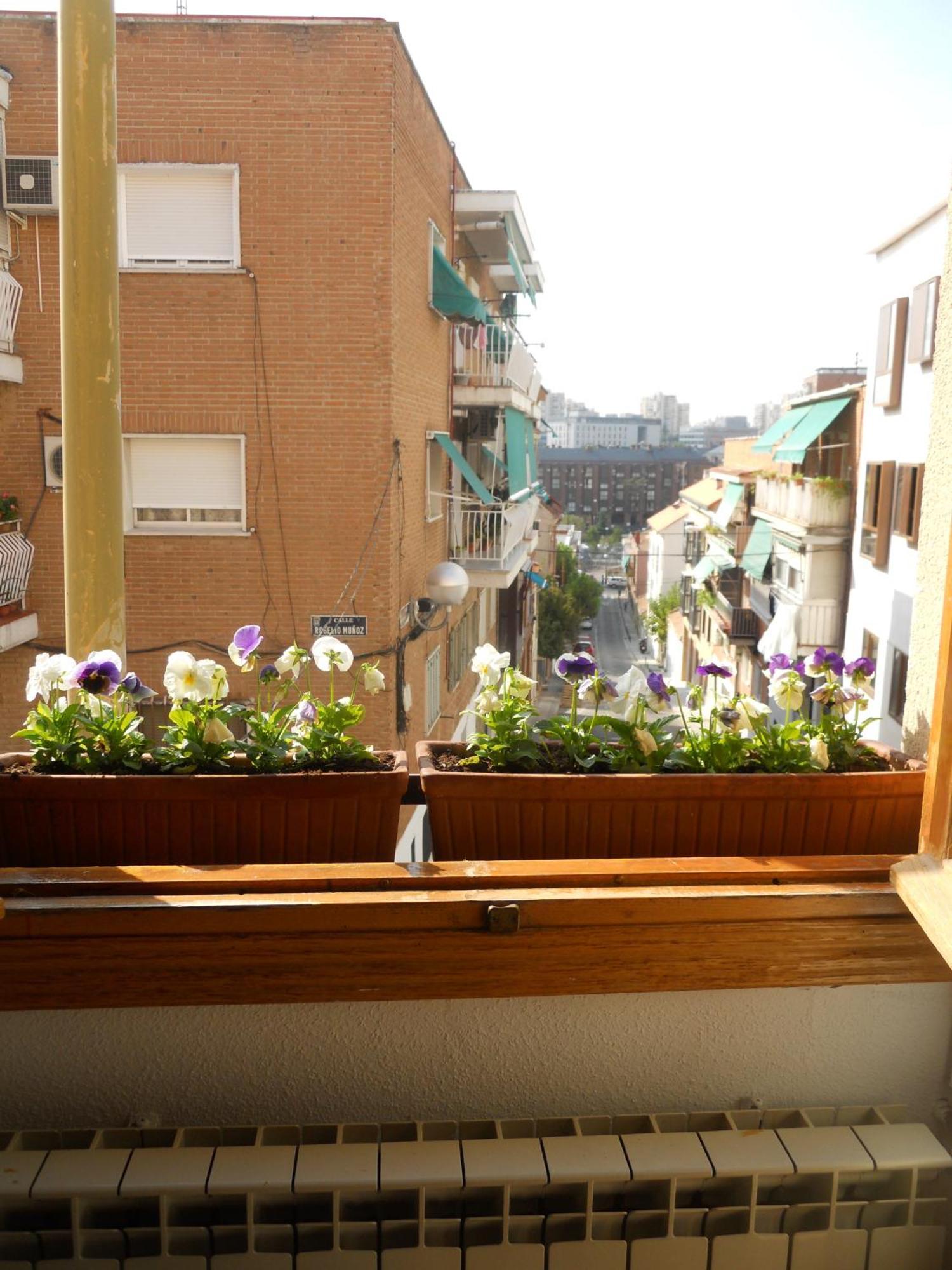 Hostal El Descanso Madrid Exterior foto